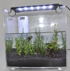 Wholesale Nicrew Led Aquarium Hood Lighting Fish Tank Light For Freshwater And Saltwater Blue And White Light From M Alibaba Com
