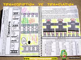 Is synthesized in translation or transcription?asn a a leu 6. Rna Protein Synthesis Interactive Notebook Mrs Gs Classroom