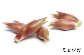 みょうがの効果 効能 栄養成分から食べ方まで たべるご