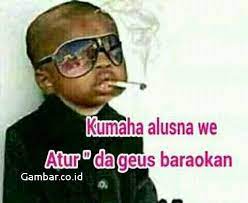 Gambar meme lucu gokil selalu menjadi incaran para pengguna aplikasi blackberry messenger namun keberadaan meme kocak berbahasa sunda tersebut sebenarnya masih sangat mudah. Gambar Lucu Sunda Terbaru 2018 Funnypics Com