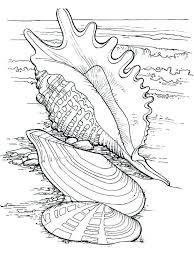 Pin On Animal Coloring Pages
