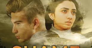 LibrisNotes: Shame The Stars by Guadalupe Garcia McCall