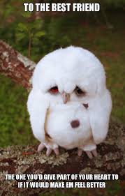 Aries tends to go all out when it comes to feeling sad. To The Best Friend The One You D Give Part Of Your Heart To If It Would Make Em Feel Better Sad Owl Make A Meme