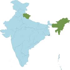 Image result for Sebaea microphylla