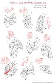 How to draw a eyse dragon wing by shadowdragon114 on deviantart no. Dragon Wings Drawing Folded Novocom Top