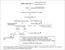 Optic Neuritis Experience From A South Indian Demyelinating Disease Registry