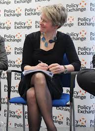 Which brings us to the tory peer dido harding, fresh from presiding over the chaos of track and trace, and her audacious application to follow that by whether what has been reported is a fair summation of harding's bid to run the nhs or an attempt to undermine her, downing street needs to make clear. Dido Harding Wikipedia
