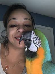 Get It In Gear Transmission, 2224 Lafayette Rd, Fort Oglethorpe, GA 30742,  US