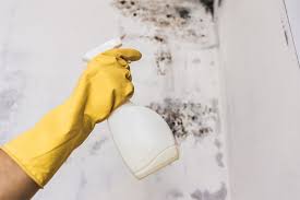 May 13, 2021 · zep 32 oz. How To Remove Mildew From Canvas Fabric Guaranteed