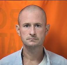 Parole Violator at Large: Detail