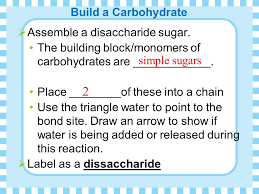 We did not find results for: Chapter 5 The Structure And Function Of Macromolecules Ppt Video Online Download