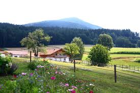 Kötzting) is a town in the district of cham, in bavaria, germany, near the czech border. Bummer Anneliese In Bad Kotzting