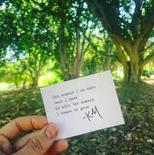 Nature Poetry Nature Poem Writing Poetry Instagram Captions