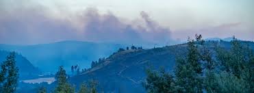 Image result for tbn:XVFRz-6Maj2JLM::www.jolmag.co.za/wildfire/images/Logos/vuvuzela_header.jpg