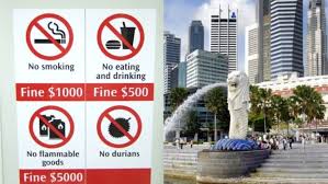 Bendera dan lambang negara singapura. Bersihnya Negara Singapura Ternyata Nggak Instan Di Baliknya Ada 50 Tahun Usaha Inilah 6 Kuncinya