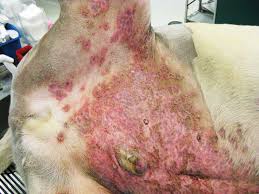 Maybe you would like to learn more about one of these? How To Reduce Surgical Site Infections