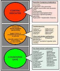 Amoxicillin Allergy Navigation Menu