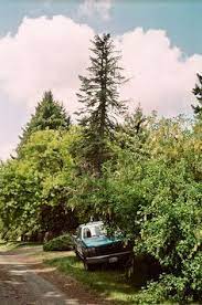 150 Best Rides Images Classic Cars Cool Cars Dream Cars