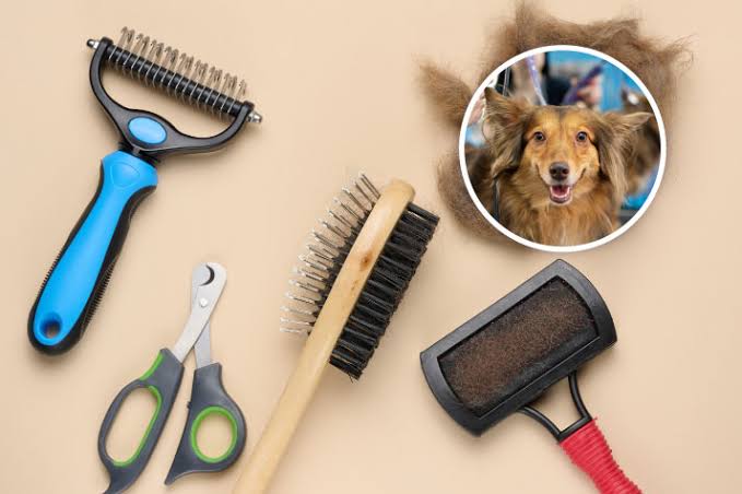 Dog Grooming Supplies