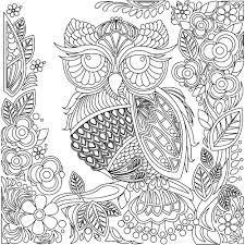 That's what 24 pictures of owls to color and over 200 nuances within the color palettes will show you when you start filling in your favorite owl coloring page. Coloring Pages Owls Cute For Childrens Adults Free Zentangle Day Of The Dead Fall Flower Jokes Golfrealestateonline