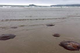 Sligo County Council issue warning as ...