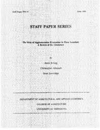 THE ROLE OF AGGLOMERATION ECONOMIES IN FIRM LOCATION: A REVIEW OF THE  LITERATURE