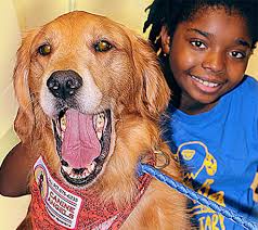 Be an angel best sale therapy dogs