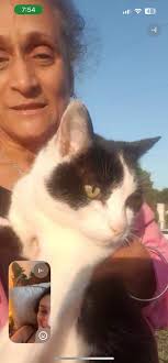 That feeling of being followed and relief from Farnborough police