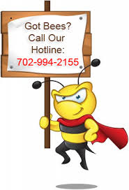 Residential and commercial pest management. Buddies Exterminating Llc 4505 Del Monte Ave Las Vegas Nv Pest Control Mapquest