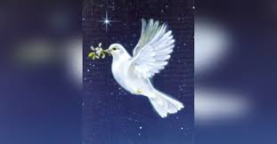 Obituary information for Beatrice Marie Iaccheri Steller