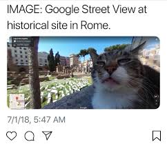 His $53,000 investment in the company briefly reached $48 million in value. Pin By Marcel Frasch On I Can Haz Memes International Cat Day Cats Cat Day