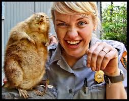 Capturing Appalachia: Finalists From the Appalachian Mtn Photography  Competition < Appalachian Voices