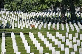 Dvids Images United States Soldiers And Airmen S Home National Cemetery Image 5 Of 23