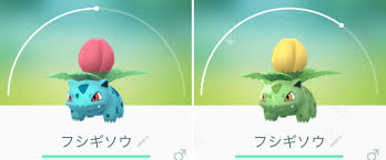 ア行のポケモン  ア イ ウ エ オ  カ行のポケモン  カ キ ク ケ コ  サ行のポケモン  サ シ ス セ ソ  タ行のポケモン  タ チ ツ テ ト  ナ行のポケモン  ナ ニ ヌ ネ ノ  ハ行のポケモン  ハ ヒ フ へ ホ  マ行のポケモン [ マ ミ ム メ. ãƒã‚±ãƒ¢ãƒ³go è‰²é•ã„ãƒã‚±ãƒ¢ãƒ³å›³é'' éšæ™‚æ›´æ–° ãƒ­ã‚±ãƒƒãƒˆãƒ‹ãƒ¥ãƒ¼ã‚¹24