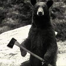 Skinny Bear The Dogs Youtube