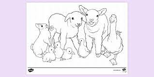 Get free printable coloring pages for kids. Free Spring Animals Colouring Page Creative Activity For Kids