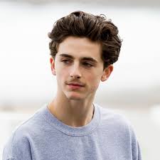 All images are copyright to their respective owners. Timothee Chalamet Is The Perfect Movie Star For 2018