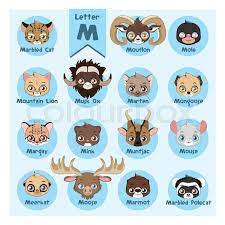 Animals that start with m | facts & pictures · macaroni penguin · macaw · magellanic penguin · magpie · maine coon · malayan civet · malayan tiger · maltese. Animal Portrait Alphabet Letter M Stock Vector Colourbox