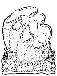 Giant Clam Coloring Page Free Printable Coloring Pages Coloring Pages Detailed Coloring Pages Giant Clam