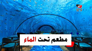 أغرب مطعم في العالم تناول الغداء مع الأسماك في المحيط Youtube