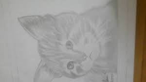 Kucing means cat in indonesian. Lukisan Kucing Simple Youtube