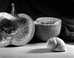 Maybe you would like to learn more about one of these? Howard Nathenson Fine Art Black And White Still Life Photographs