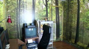 Forest images & wallpapers for mobile and desktop. Forest Wallpaper Mural Youtube