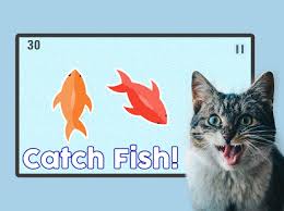 Fish For Cats Cat Fishing Game Apps On Google Play
