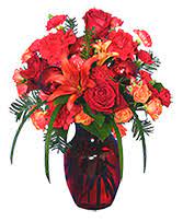We get to you the most striking and rich flowers, native as well as imported exotic flowers, farm fresh to your door! Kwanzaa Kathy Co Flowers Burlington Vt