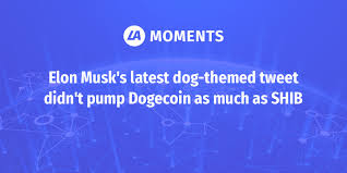 His recent tweet on defi is being interpreted as his interest and support for the crypto ecosystem and one. Dogecoin Latoken Moments