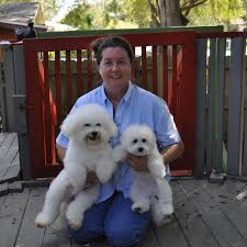 Dec 16, 2019 · a bichon frise price tag can range from around $900 to over $3,500 for a puppy. Cambeas Bichon Frise Puppies Home Facebook
