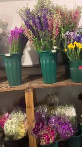 We did not find results for: West Texas Wholesale Floral Home Facebook