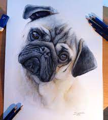 Pearlgobuy cute realistic animal toys: 25 Beautiful And Realistic Animal Drawings Around The World Realistic Animal Drawings Cool Pencil Drawings Color Pencil Drawing