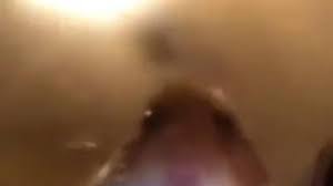 This is hamster staring at camera meme by not a cat on vimeo, the home for high quality videos and the people who love them. Hamster Staring At Camera Meme Youtube